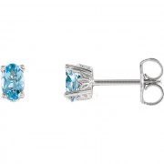 14K White Aquamarine Earrings