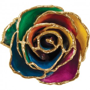 Lacquered Rainbow Rose with Gold Trim 2